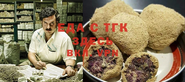 шишки Гусиноозёрск