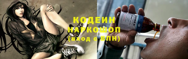 метадон Гусев
