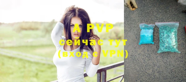 метадон Гусев