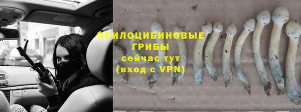 кристаллы Горняк