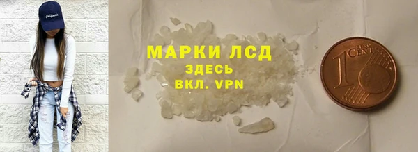шишки Гусиноозёрск