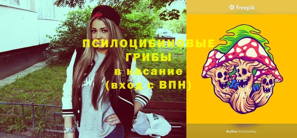 шишки Гусиноозёрск