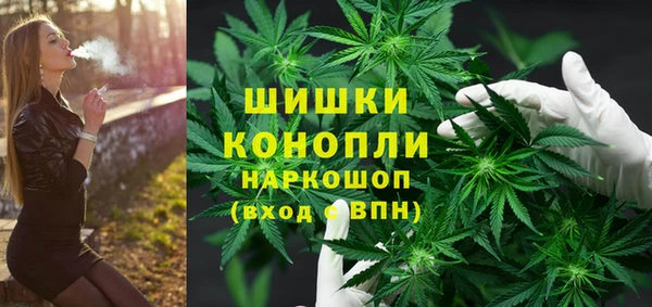 стафф Горнозаводск