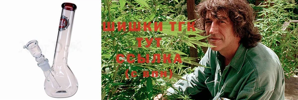 jwh Гусь-Хрустальный