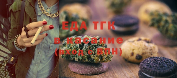 шишки Гусиноозёрск