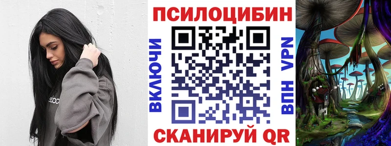 нарко площадка какой сайт  хочу   Бердск  Псилоцибиновые грибы ЛСД 